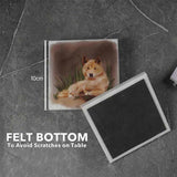 Australian Wild Life Printed Coasters - Set of 4