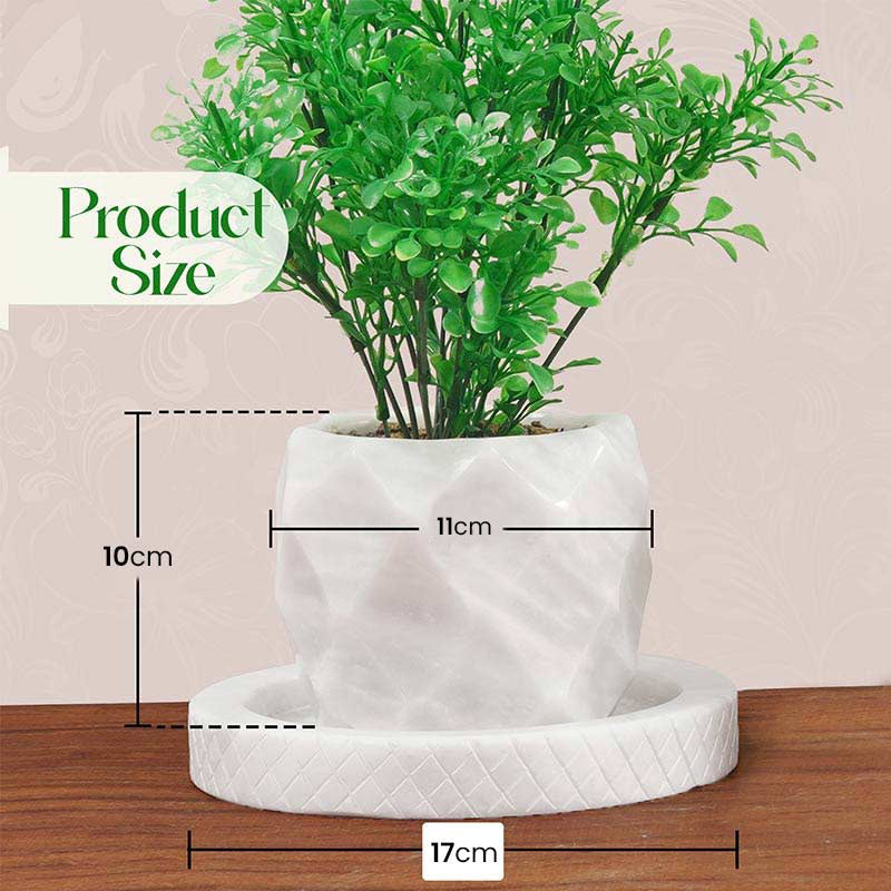 Planter Pineapple Design - 10cm