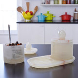 Salt Cellar With Tray