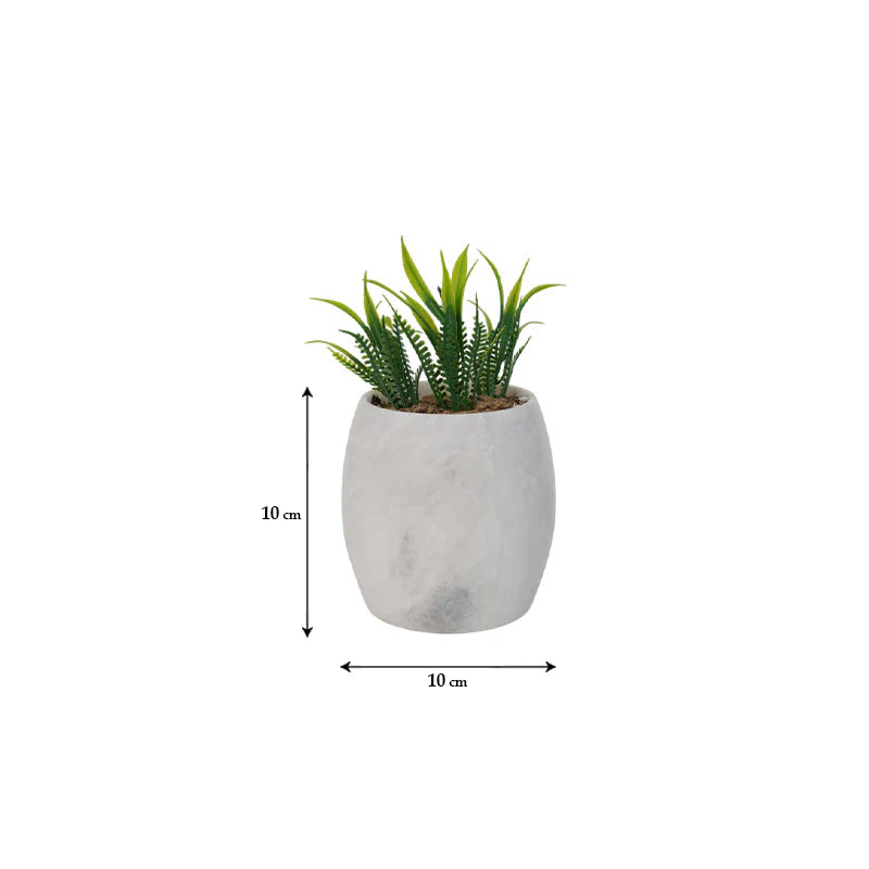 planter, indoor planter, marble planter, home decor